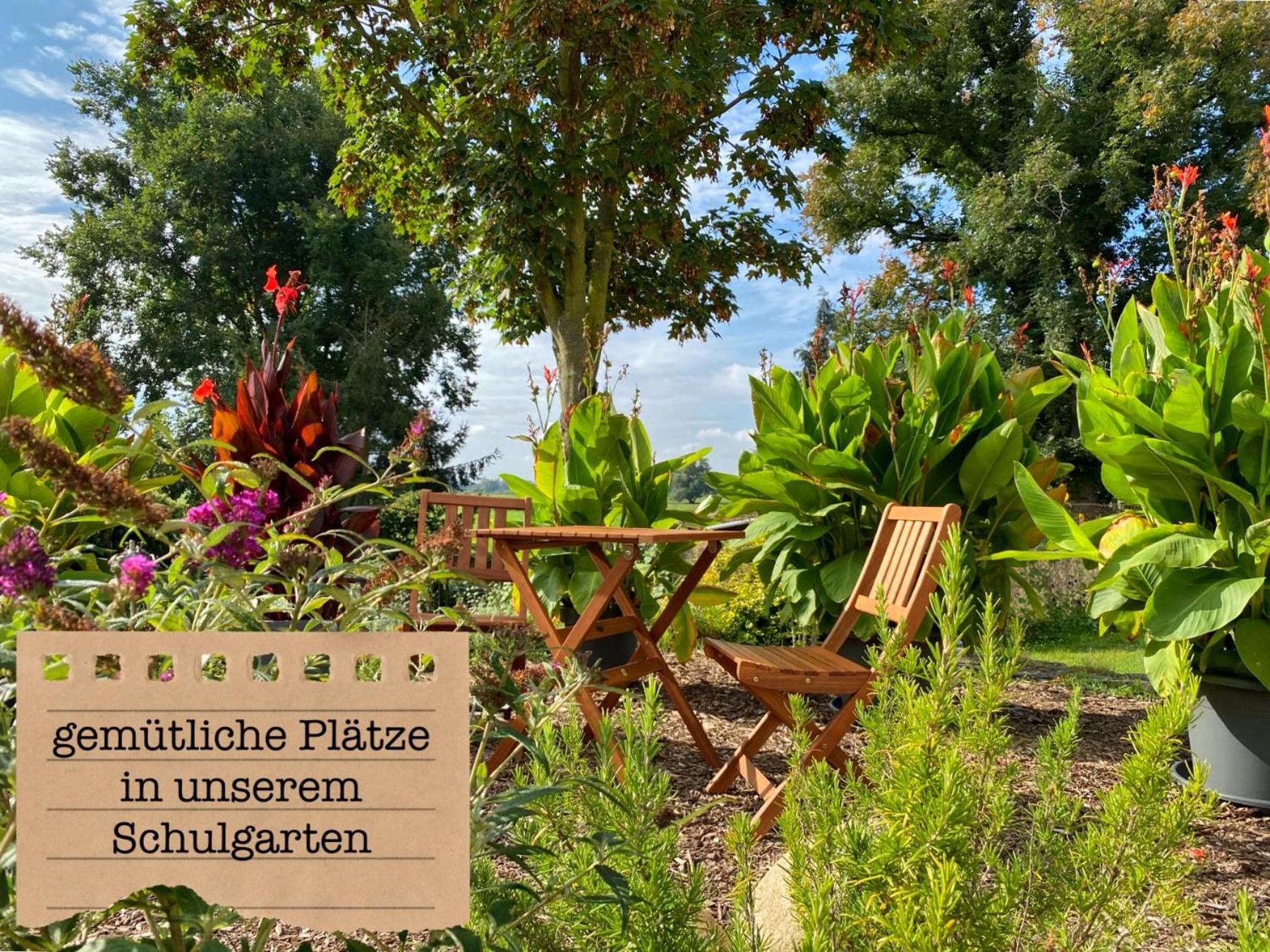 Alte Schule Wittenberg, 3 Ferienwohnungen Fuer Bis Zu 12 Personen, An Der Elbe, Mit Garten المظهر الخارجي الصورة