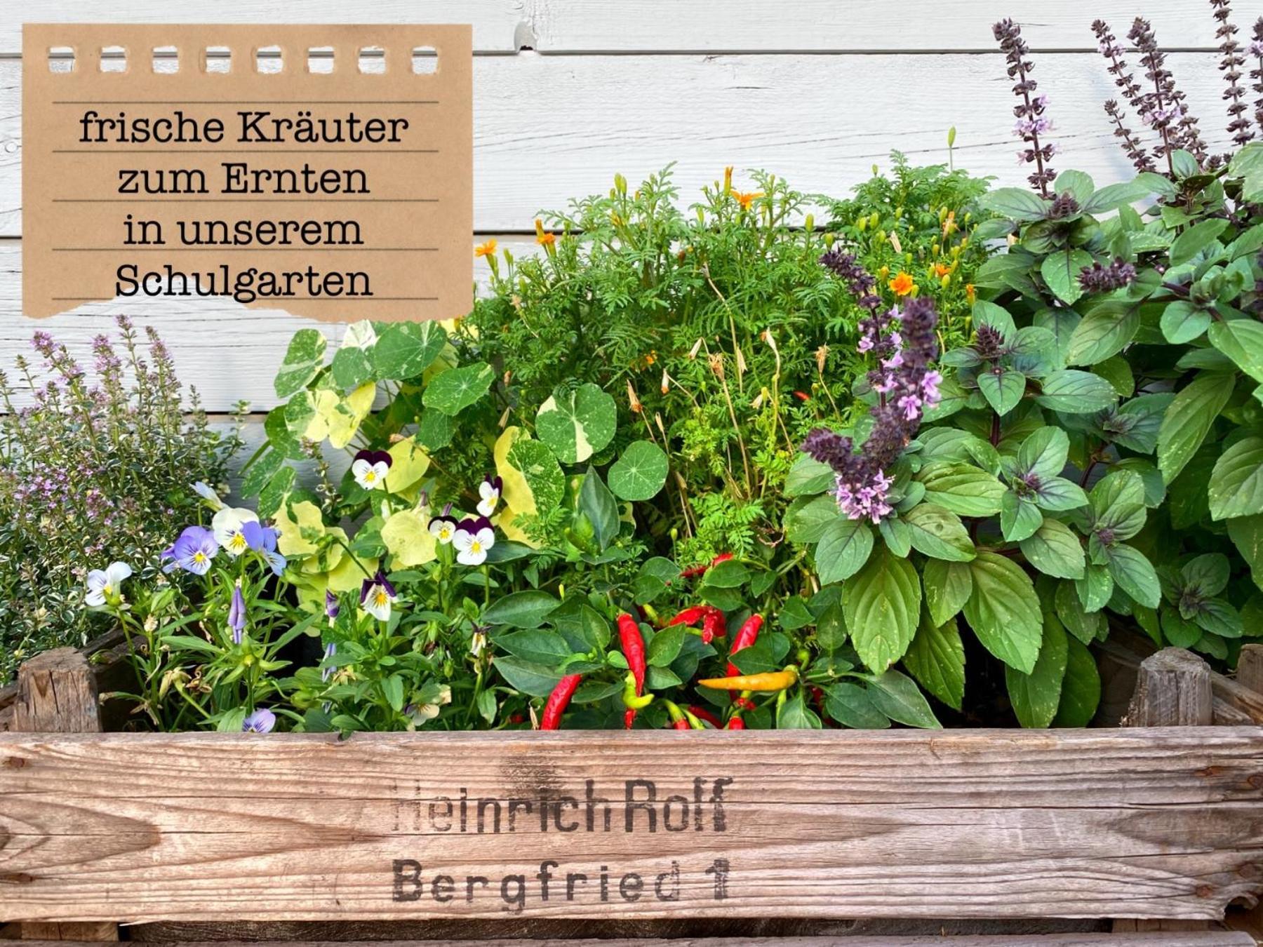Alte Schule Wittenberg, 3 Ferienwohnungen Fuer Bis Zu 12 Personen, An Der Elbe, Mit Garten المظهر الخارجي الصورة