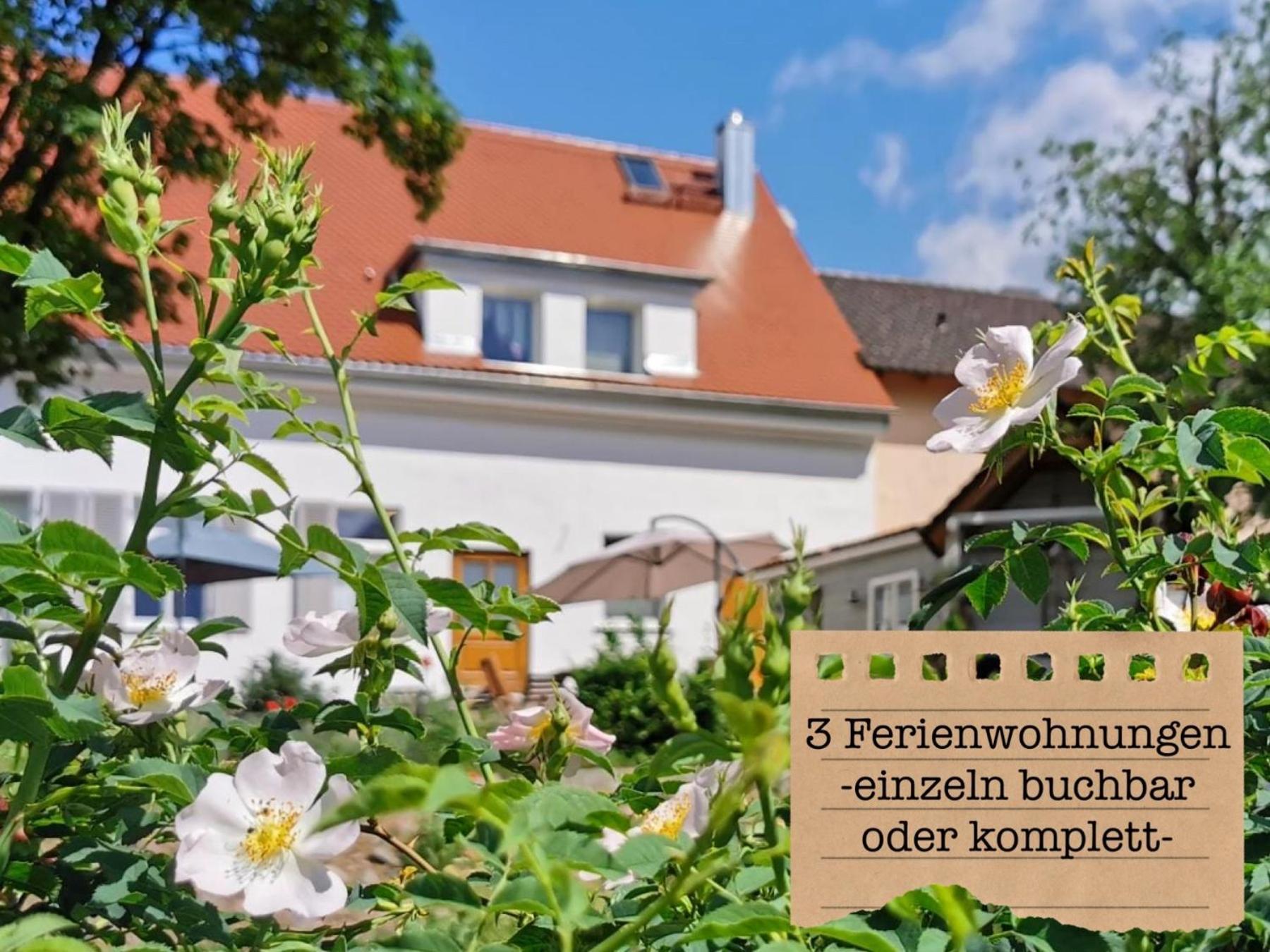 Alte Schule Wittenberg, 3 Ferienwohnungen Fuer Bis Zu 12 Personen, An Der Elbe, Mit Garten المظهر الخارجي الصورة