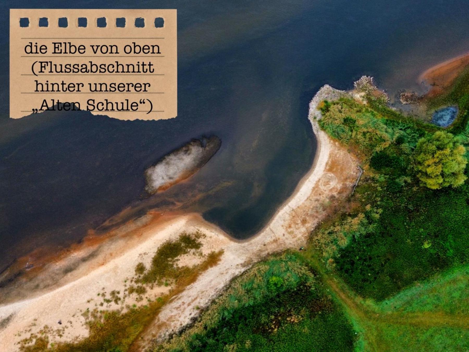 Alte Schule Wittenberg, 3 Ferienwohnungen Fuer Bis Zu 12 Personen, An Der Elbe, Mit Garten المظهر الخارجي الصورة