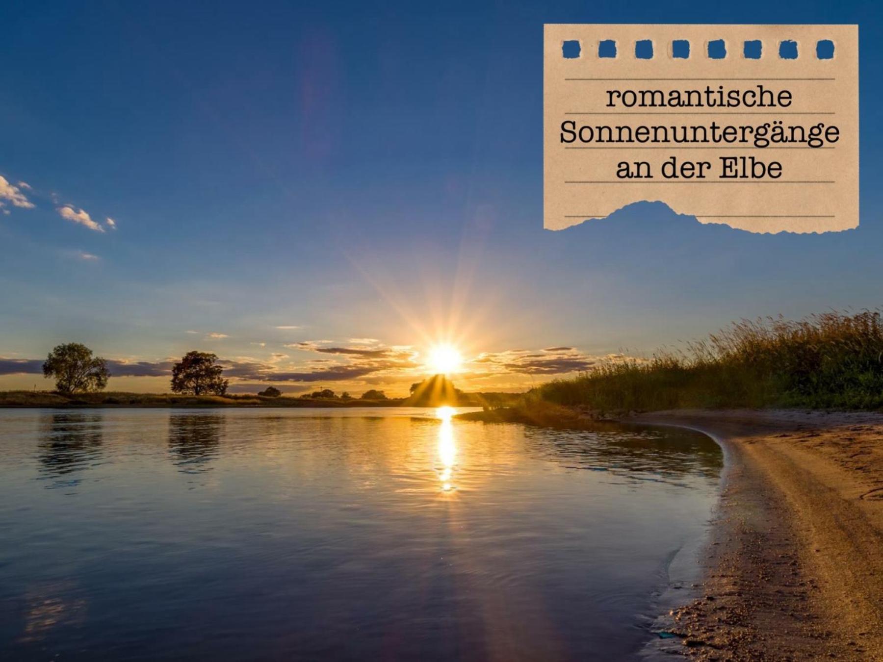 Alte Schule Wittenberg, 3 Ferienwohnungen Fuer Bis Zu 12 Personen, An Der Elbe, Mit Garten المظهر الخارجي الصورة