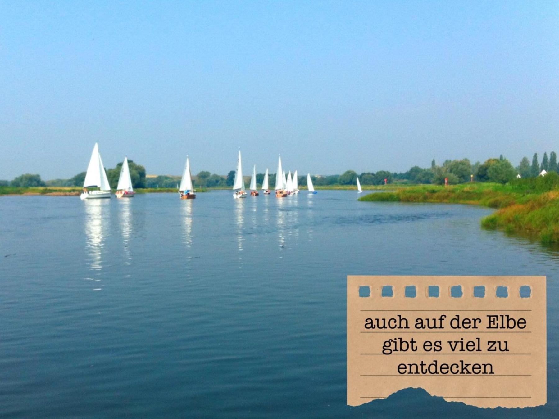 Alte Schule Wittenberg, 3 Ferienwohnungen Fuer Bis Zu 12 Personen, An Der Elbe, Mit Garten المظهر الخارجي الصورة